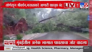 Shrivardhan Rain Update  मुसळधार पावसामुळे रायगडच्या श्रीवर्धन रस्त्यावर झाड कोसळलं  tv9 Marathi [upl. by Ahsinom]