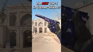 The BEST USPS skin in CounterStrike 2 👀 USPS Purple DDPAT [upl. by Cornia]