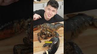 Sejarah lobster yang belum kamu ketahui shortvideo trending [upl. by Bocaj]