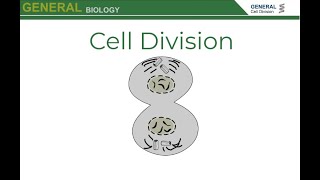 Cell Division Mitosis and Cytokinesis [upl. by Lovell234]