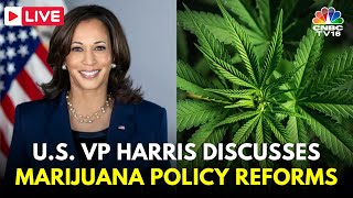 LIVE US Vice President Kamala Harris Discusses Marijuana Policy Reforms  Cannabis USA News  IN18L [upl. by Frame]