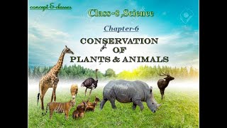 Class 8 Science Chapter 7 Conservation of Plants and Animals [upl. by Ener]