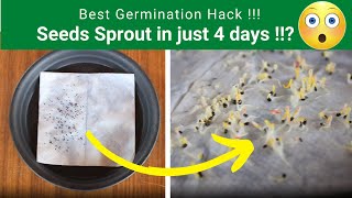 Best Seeds Germination Hack Tissue Paper Method Seed Germination  TrustBasket [upl. by Aschim]