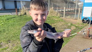 Teaching My Son to Shore Fish in Newhaven [upl. by Sessylu]