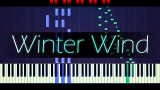 Etude Op 25 No 11 quotWinter Windquot  CHOPIN [upl. by Anoirb]