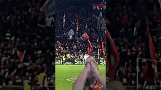 GENOA COMO GOL VOGLIACCO EMOZIONE PURA genoa genoacfc shorts [upl. by Rew]