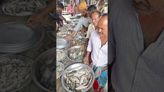 Fresh mixed fish market in paler char ॥ shorts [upl. by Perl905]