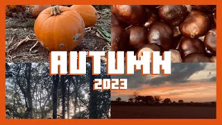 Autumn Vlog 🍁 [upl. by Manley326]