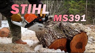 Putting the STIHL MS391 to work at the cabin [upl. by Robaina53]