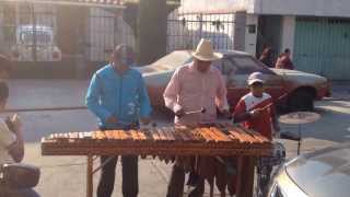 Marimba quotla Zandungaquot [upl. by Lasala]