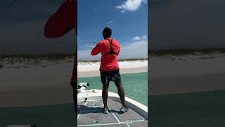 Clearest Beached ever Fished fishing destinflorida redfish [upl. by Nilkcaj519]