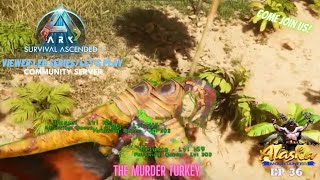 Ark Survival Ascended EP 36 The Murder Turkey [upl. by Irelav120]