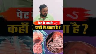 पेट में Roundworm 🪱 कहाँ से आता है biology ckraj geneticbioclasses [upl. by Analat]