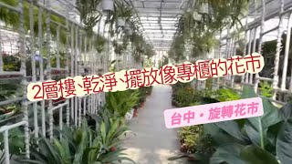 《台中•旋轉花市》客製化組盆、2層樓像百貨的花市妳逛過了嗎？ plants 花市 觀葉植物 空氣鳳梨 alocasia 台中 garden 園藝捷運站 鹿角蕨 [upl. by Derry678]