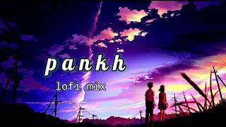 Pankh Hote To Ud Aati re Lofi Song Slowed Reverb song [upl. by Ronoc]