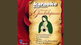 La Guadalupana Karaoke Version [upl. by Yrovi235]