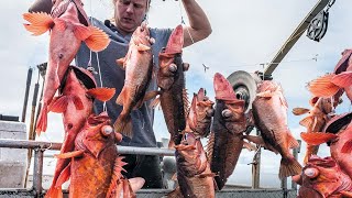 Most Satisfying longline fishing Catch Many Fish That live on The Sea  Automatic longline fishing [upl. by Nodlehs247]