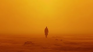 The Cinematography of Blade Runner 2049 Film Edit [upl. by Eceerahs]