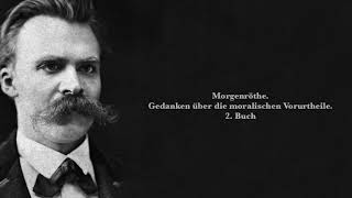 Friedrich Nietzsche MorgenrÃ¶te Zweites Buch HÃ¶rbuch [upl. by Alfonso65]