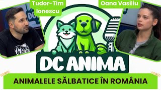 Animalele SALBATICE în ROMANIA  dr vet Oana Vasiliu  DC Anima 1 [upl. by Ruttger]