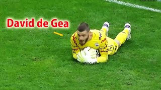 David de Gea is still WORLDCLASS in 2024 [upl. by Teufert]