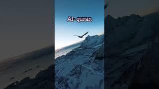 Surah mariyam ayat 75 hindi urdu translation  ♥️islam islamic shorts youtubeshorts [upl. by Ynor]