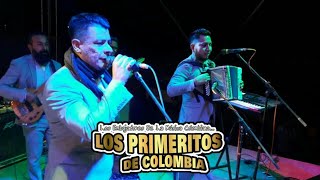 Planchame La Ropa  Los Primeritos De Colombia En Vivo 2019 [upl. by Shaeffer]