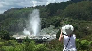 Rotorua  Geysers and Mud Pools [upl. by Largent641]