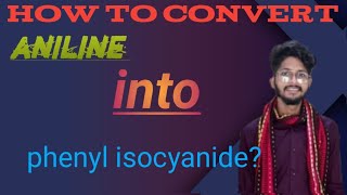 Organic chemistry class 12  How to convert aniline into phenyl isocyanide [upl. by Ricardama853]