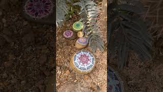 xerophytes🌵… plants lives in desert 🏜️ areas … mandala ⚛️art🏵️☯️…  youtube shorts  trending🎉 [upl. by Hiram987]