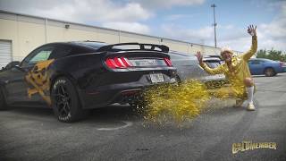 Goldmember introduces our Lethal Performance 2018 Mustang GT Axleback in a glorious way [upl. by Anar]