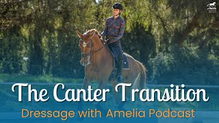 The Canter Transition [upl. by Farnham]