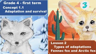 GRADE 4  FIRST TERM 2024  CONCEPT 11 LESSON 2  TYPES OF ADAPTATIONSTHE FENNEC FOX AN ARCTIC FOX [upl. by Strickler]