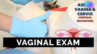 Vaginal Examination PV  OSCE Guide  UKMLA  CPSA [upl. by Kistner853]