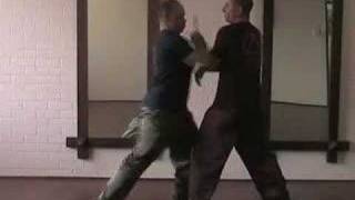 Taiji boxing Sifu Adam Mizner HEAVEN MAN EARTH TAIJI COUNCIL [upl. by Bosson]