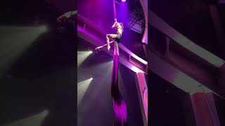 shorts Royal Caribbean  Duo Quintessence  Aerialist amp Acrobat Show [upl. by Wennerholn]