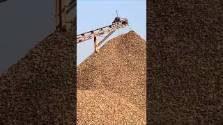 Super Satisfying Stone Crushing Process youtubeshorts shortvideo shorts short youtube [upl. by Aerdnaxela]