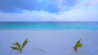 Cozy Tropical Beach Ambience in Maldives Ocean waves 4K Ultra HD [upl. by Rehpotsirahc541]