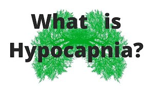 What is Hypocapnia Its uses and side effects  Breathwork Education with Jesse Coomer [upl. by Faro570]