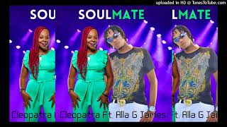 Cleopatra Ft Alla G James  Soulmate Vincy Reggae Vibes 2024 [upl. by Nuncia]