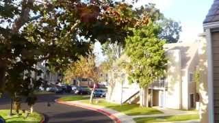 Review of Residence Inn Oxnard River Ridge [upl. by Sixela]