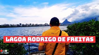 Lagoa Rodrigo de Freitas  Rio de Janeiro [upl. by Luce]