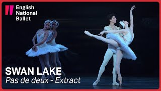 Swan Lake Odette and Prince Siegfried pas de deux extract  English National Ballet [upl. by Agnew]