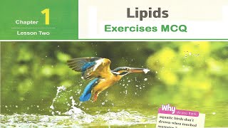 Sec 1\ Biology 1st term\ Unit 1\ Chapter 1\ Lesson 2  Lipids  Exercises أحياء اولى ثانوى لغات [upl. by Annoda54]