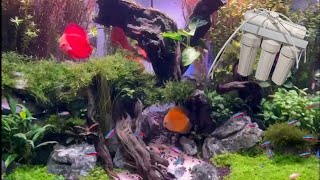 Complete guide for RO water for fish tank  all you need to know about reverse osmosis water system [upl. by Mccollum]