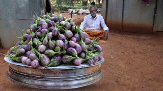 VEG BRINJAL Recipe Prepared by my Daddy Arumugam  Village Food Factory [upl. by Eihctir]