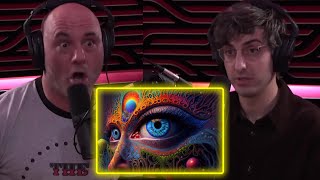 Joe Rogan The DMT Experience  Joe Rogan Experience [upl. by Schlicher]