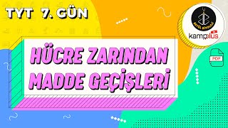 7 Hücre Zarından Madde Geçişleri Konu Anlatımı  9 Sınıf Biyoloji  YKS 2023  TYT Biyoloji 7 Gün [upl. by Apul178]