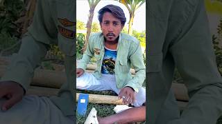 Ham latrin karke khati hai 😂 uljha Diya 🤣 discover comedy wala statmrfanny funny shorts [upl. by Zingg469]