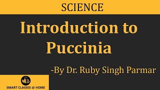 Puccinia Lecture BSc MSc by Dr Ruby Singh Parmar I Guru Kpo [upl. by Florence]